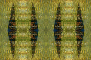 Quadruplice - Diapason - 50x75 cm